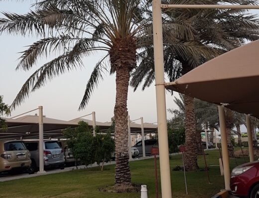 Al Wakra Health Center