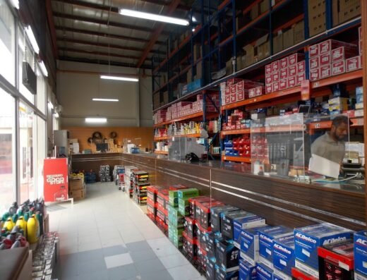 Oriental Auto Parts