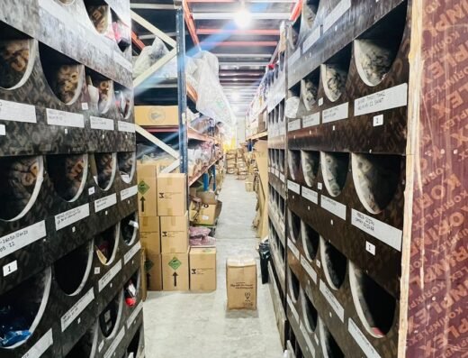 ORIENTAL AUTO PARTS STREET 24