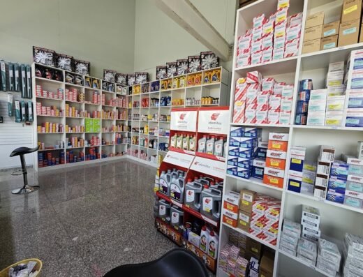 The FLYZONE Auto Parts Trading