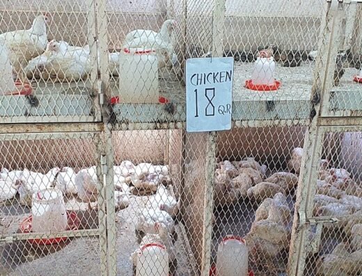 Al Kharaitiyat Birds & Chicken