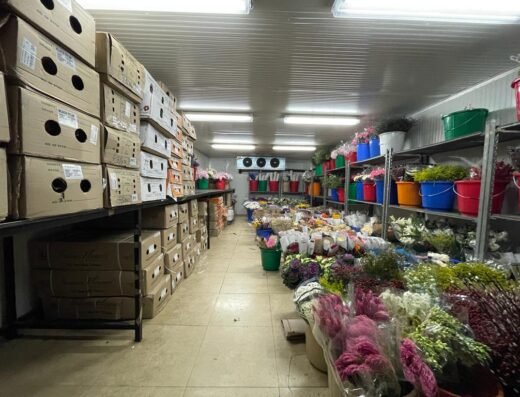 Black Tulip Flowers WLL – Online Flower Delivery & Wholesale – Doha
