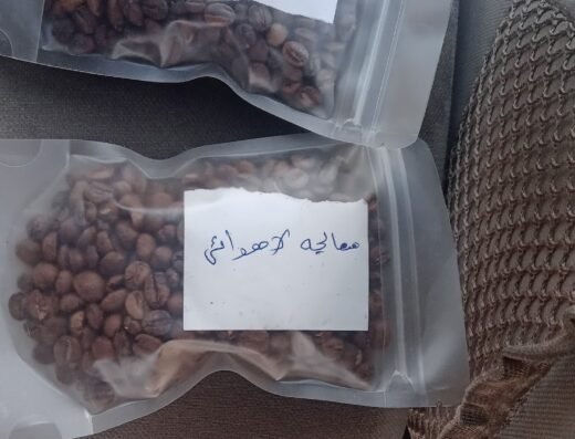 الظيان التجارية