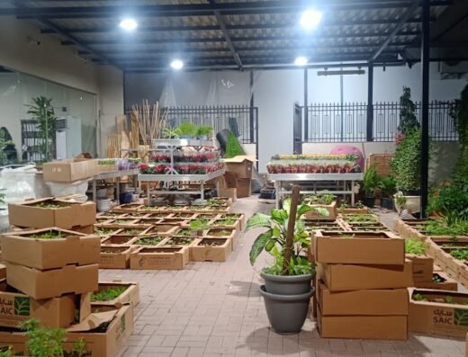 Floranza International Nursery