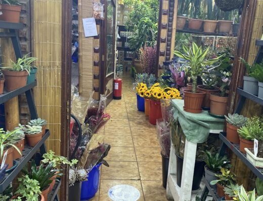 Flower Markets Co. W.L.L
