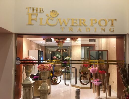 Flower Pot