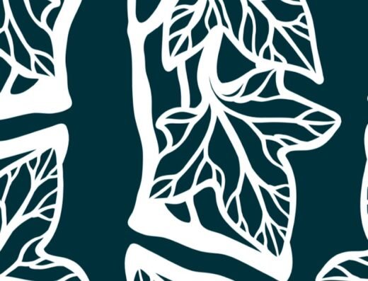 Ivy
