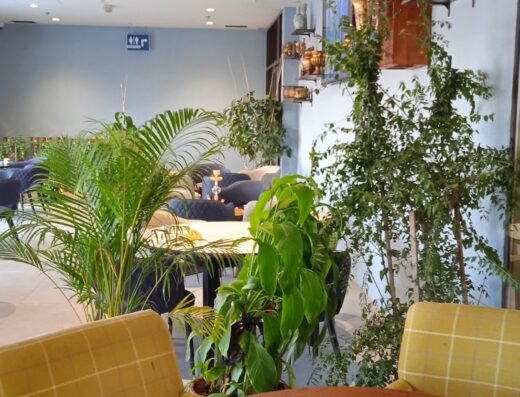 Naranj downtown restaurant ‏مطعم نارنج داون تاون