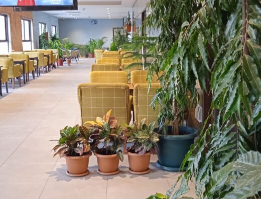 Naranj downtown restaurant ‏مطعم نارنج داون تاون