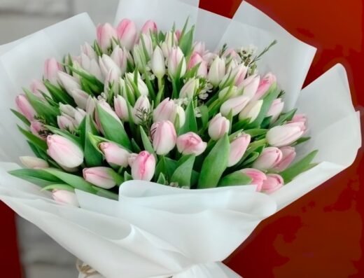 New Pioniya Alkhor Flowers and Chocolate