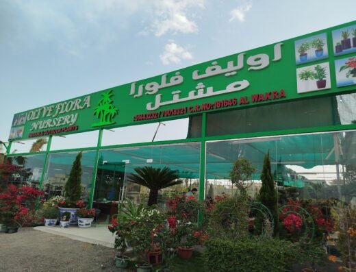 Olive Flora Nursery