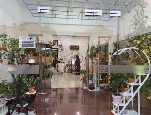 Orbee Plants & Flowers – Al Thumama