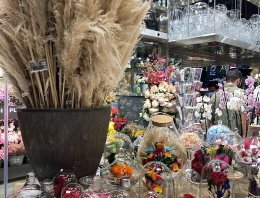 Plaza Hollandi Ezdan Mall Al Wakra
